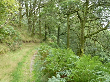 Above Brundholme