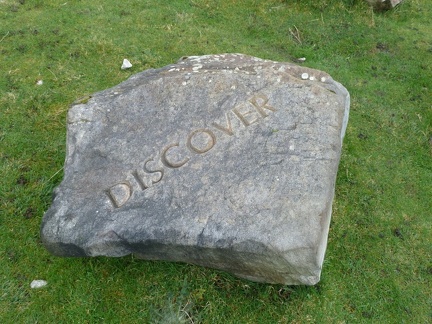 'Discover'